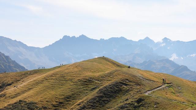 Pistes de VTT au Collet d'Allevard