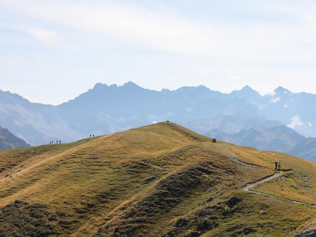 Pistes de VTT au Collet d'Allevard