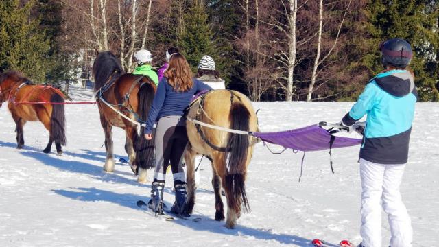 ski joering au Collet