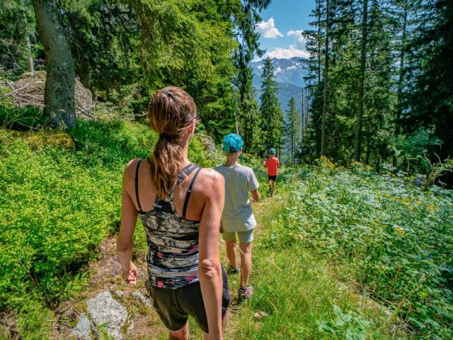 Marche dans la forêt au Collet d'Allevard en été