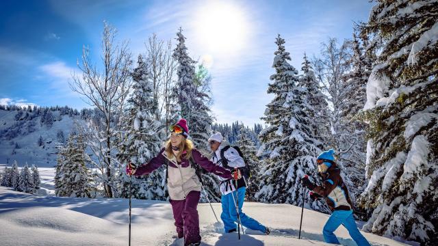 Randonnée raquettes au Collet en hiver