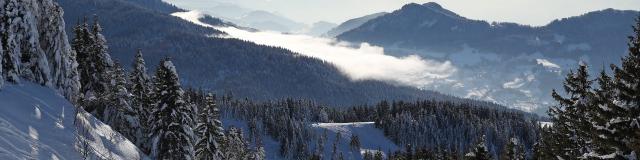 skieurs entre les sapins au Collet en hiver