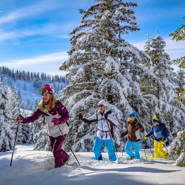 Sorties en raquettes à neige encadrées