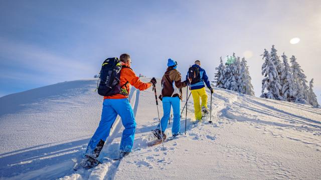 Randonnée en raquettes au Collet en hiver